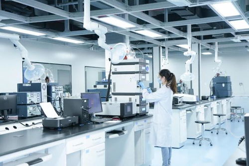 制度創(chuàng)新與科技創(chuàng)新雙輪驅(qū)動 廈門海滄打通助企紓困“最后一公里”技術(shù)服務(wù)